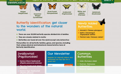 https://www.butterflyidentification.com/ screenshot