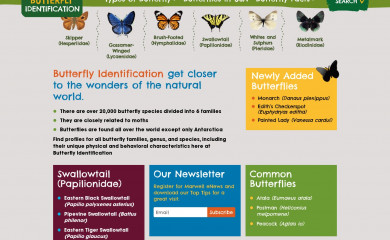 https://www.butterflyidentification.com/ screenshot