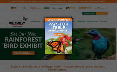 butterflywonderland.com screenshot