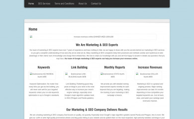 buygoogleseo.com screenshot