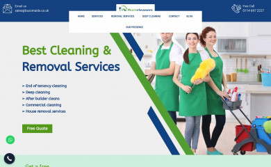 buzzcleaners.co.uk screenshot