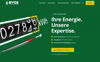 bvge-consulting.de screenshot