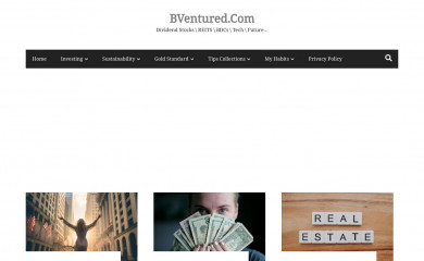 bventured.com screenshot