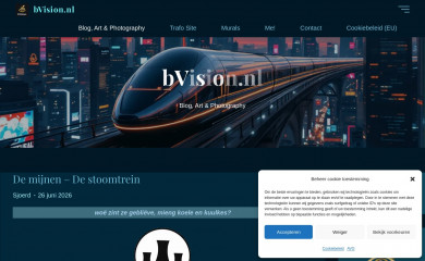 bvision.nl screenshot
