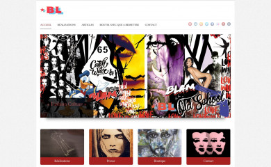 bvln.fr screenshot