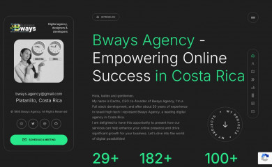 bways.co.il screenshot