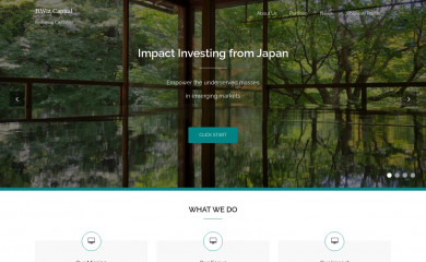 bwizcap.com screenshot