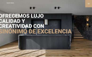 bwoodmexico.mx screenshot