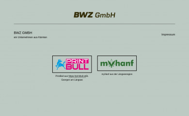 bwz-gmbh.at screenshot