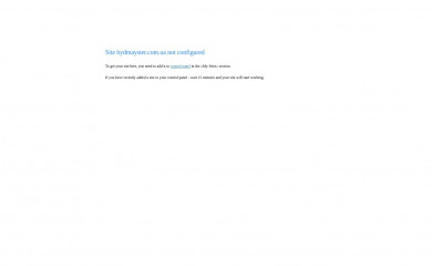 bydmayster.com.ua screenshot