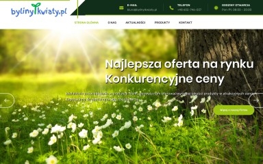 bylinyikwiaty.pl screenshot
