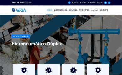 bysvega.com screenshot