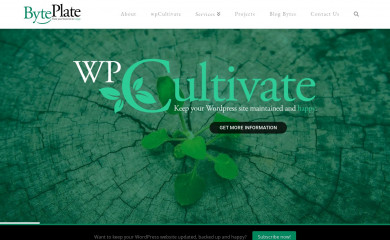 byteplate.com screenshot