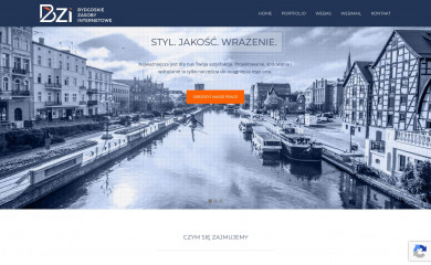 bzi.pl screenshot