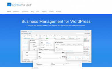 bzmngr.com screenshot