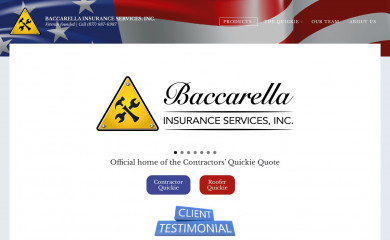 bacins.com screenshot