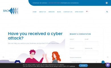 backloop.biz screenshot