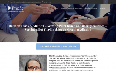 backontrackmediation.com screenshot