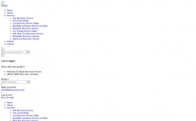 babarrecovery.com screenshot