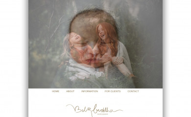 babybuddhaphotography.com screenshot