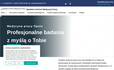badaniadopracyopole.pl screenshot