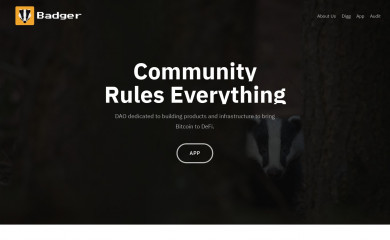 badger.finance screenshot