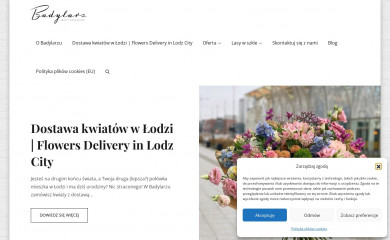 badylarz.com screenshot