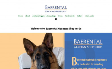 baerental.com screenshot