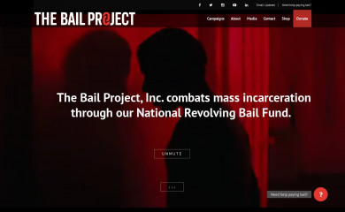 bailproject.org screenshot