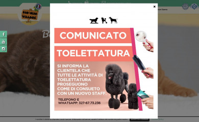 baomiaovillage.it screenshot