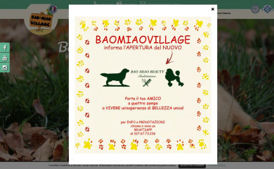 baomiaovillage.it screenshot
