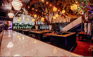 baolimiami.com screenshot