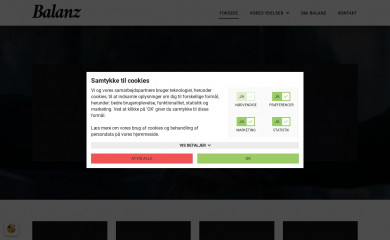 balanz-regnskab.dk screenshot