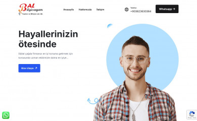 balbilgisayar.com screenshot