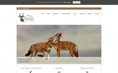 balemountains.org screenshot