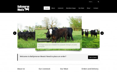 ballymoranmeats.com screenshot