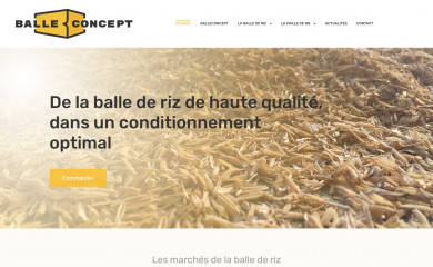 balleconcept.com screenshot