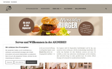 ballonwirtaigner.at screenshot