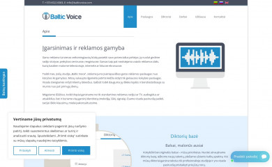 balticvoice.com screenshot