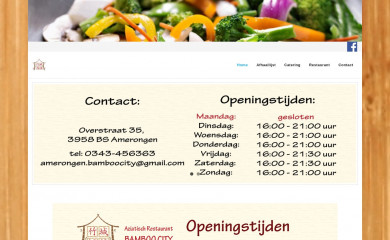 bamboocity.nl screenshot