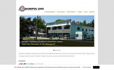 bamipol.pl screenshot