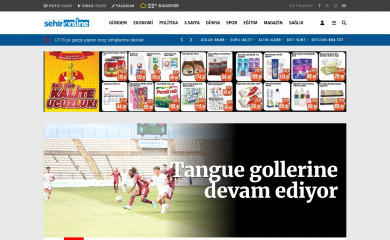 bandirmasehir.com screenshot