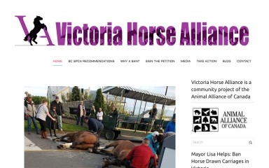 banhorsecarriagesvictoria.org screenshot
