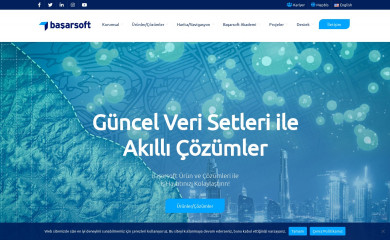 basarsoft.com.tr screenshot