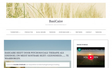 basicaire.nl screenshot