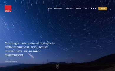 basicint.org screenshot