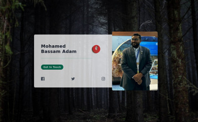 bassam.ltd screenshot