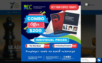 barbadosemployers.com screenshot