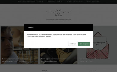 batboy.nl screenshot