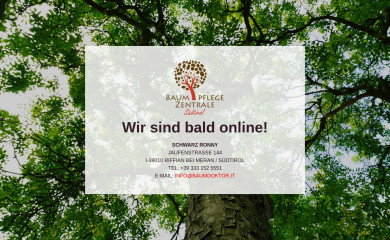 baumdoktor.it screenshot
